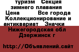 туризм : Секция зимнего плавания › Цена ­ 190 - Все города Коллекционирование и антиквариат » Значки   . Нижегородская обл.,Дзержинск г.